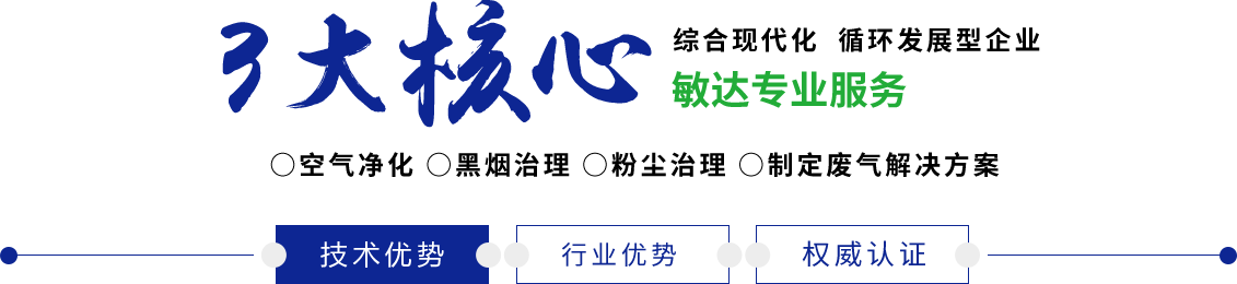 日本少妇艹逼视屏敏达环保科技（嘉兴）有限公司